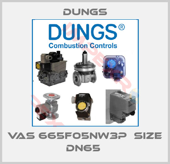 Dungs-VAS 665F05NW3P  size DN65 