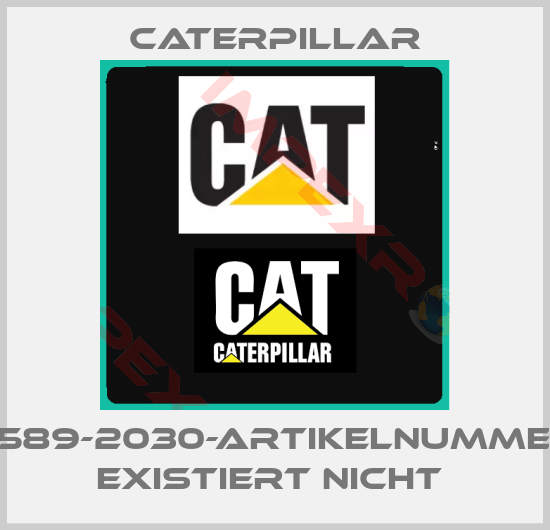 Caterpillar-2589-2030-ARTIKELNUMMER EXISTIERT NICHT 