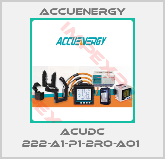 Accuenergy-AcuDC 222-A1-P1-2RO-AO1 