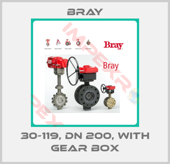 Bray-30-119, DN 200, with gear box