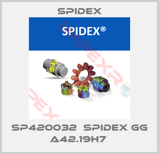 Azcue Pumps-SP420032  SPIDEX GG A42.19H7 