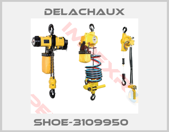 Delachaux-SHOE-3109950  