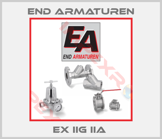 End Armaturen-EX IIG IIA 