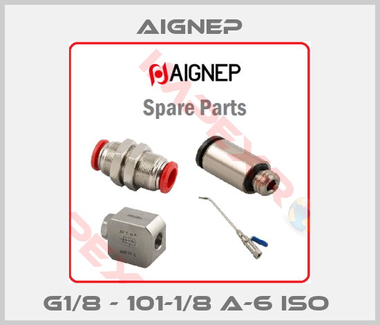 Aignep- G1/8 - 101-1/8 A-6 ISO 