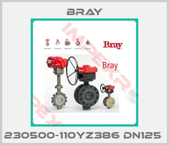 Bray-230500-110YZ386 DN125 