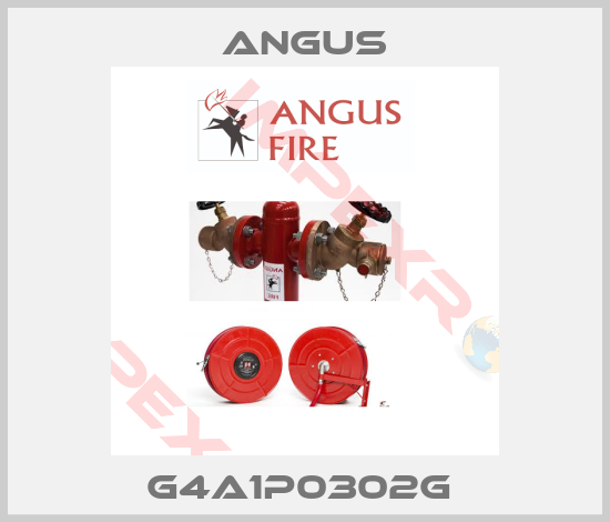 Angus-G4A1P0302G 