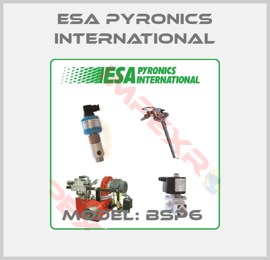 ESA Pyronics International-Model: BSP6 