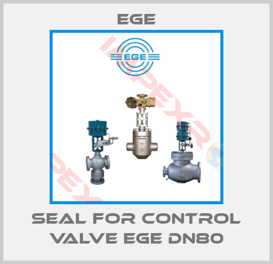 Ege-Seal for Control Valve EGE DN80