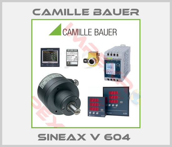 Camille Bauer-Sineax V 604 