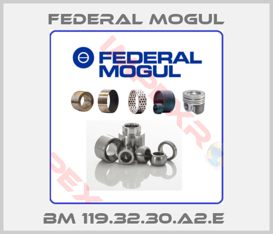 Federal Mogul-BM 119.32.30.A2.E 