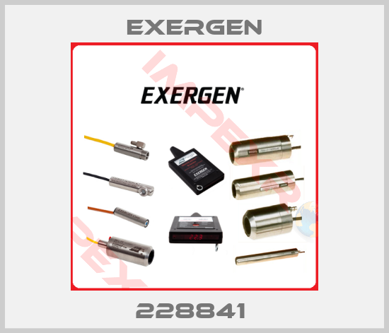 Exergen-228841 