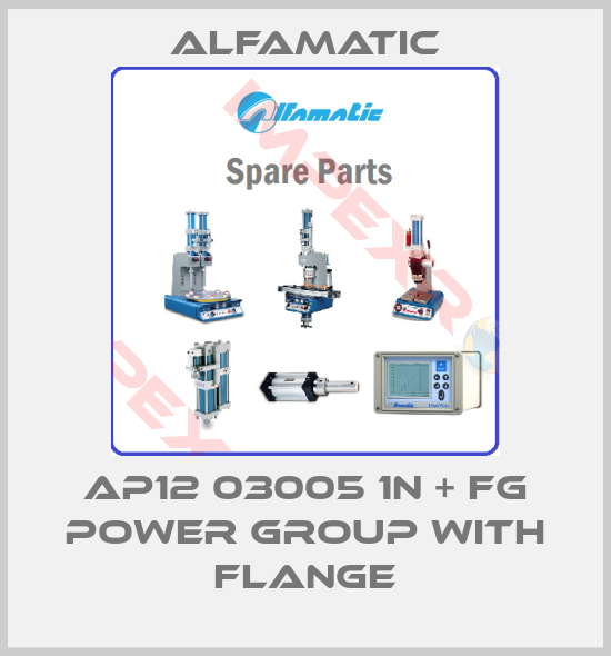 Alfamatic-AP12 03005 1N + FG power group with flange
