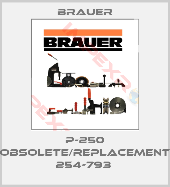 Brauer-P-250 obsolete/replacement 254-793 