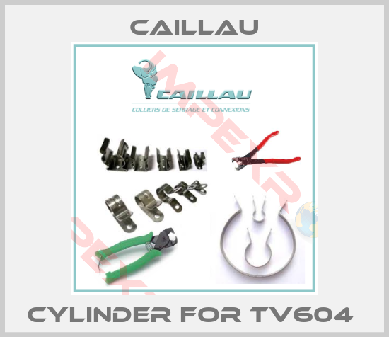 Caillau-cylinder for TV604 