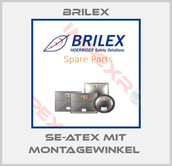 Brilex-SE-ATEX mit Montagewinkel 