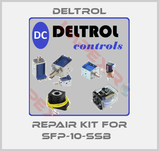 DELTROL-Repair kit for SFP-10-SSB  
