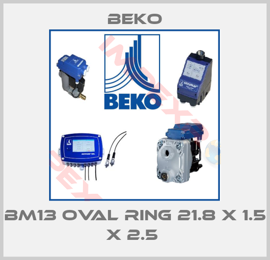 Beko-BM13 OVAL RING 21.8 X 1.5 X 2.5 