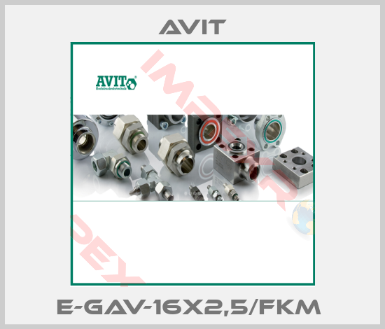 Avit-E-GAV-16x2,5/FKM 