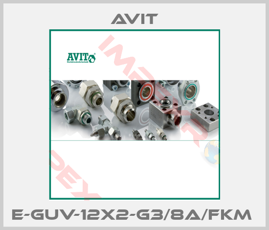 Avit-E-GUV-12x2-G3/8A/FKM 
