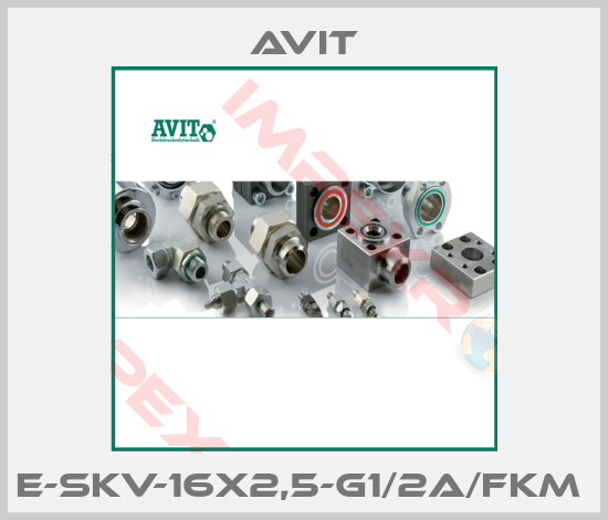 Avit-E-SKV-16x2,5-G1/2A/FKM 