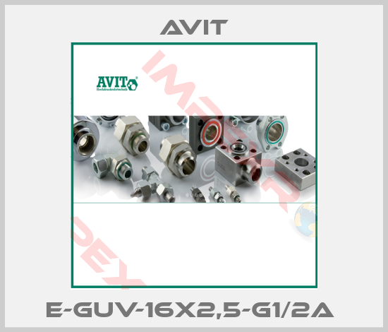 Avit-E-GUV-16x2,5-G1/2A 