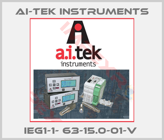 AI-Tek Instruments-IEG1-1- 63-15.0-01-V 