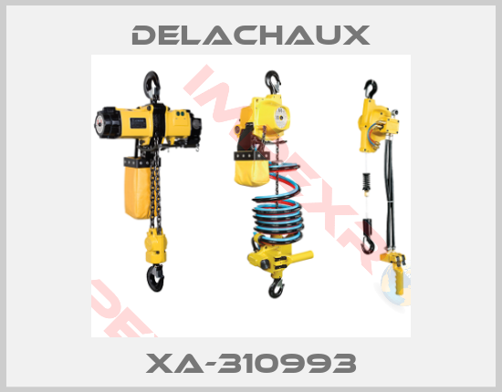Delachaux-XA-310993