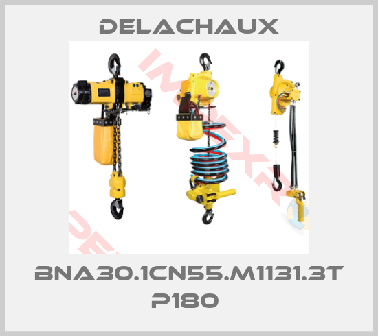 Delachaux-BNA30.1CN55.M1131.3T P180 