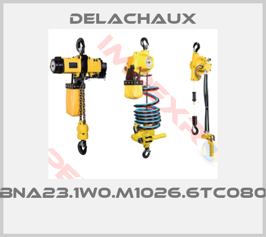 Delachaux-BNA23.1W0.M1026.6TC080 