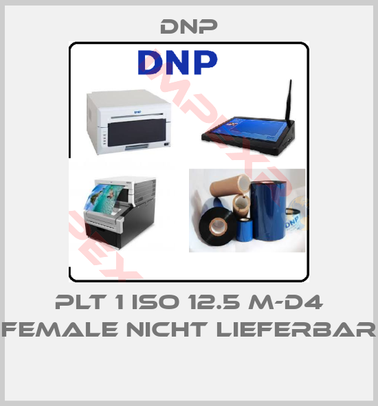 DNP-PLT 1 ISO 12.5 M-D4 female nicht lieferbar 