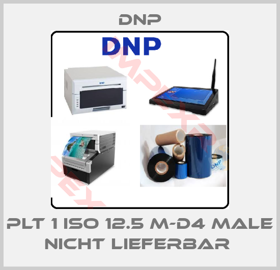DNP-PLT 1 ISO 12.5 M-D4 male nicht lieferbar 
