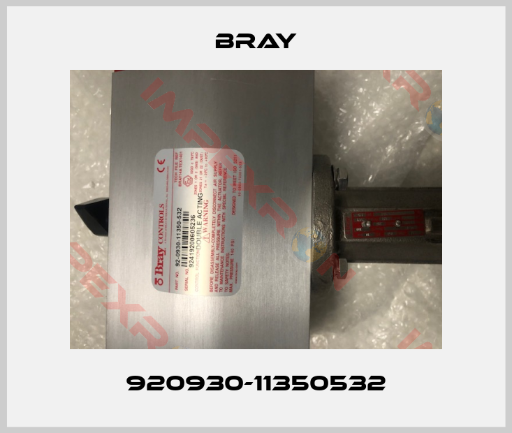 Bray-920930-11350532