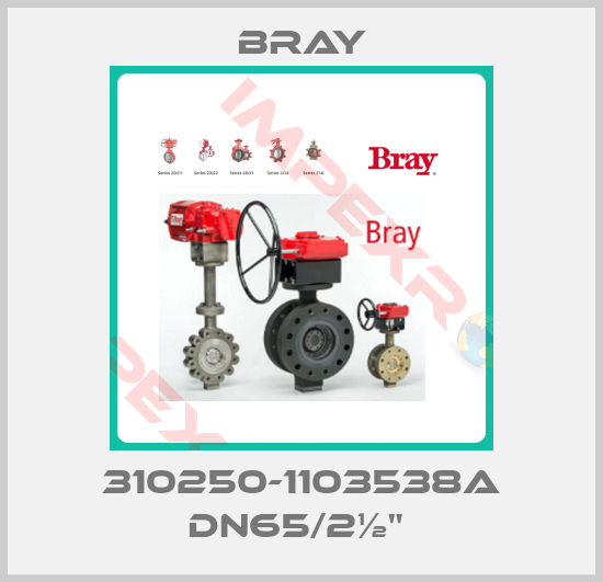 Bray-310250-1103538A DN65/2½" 