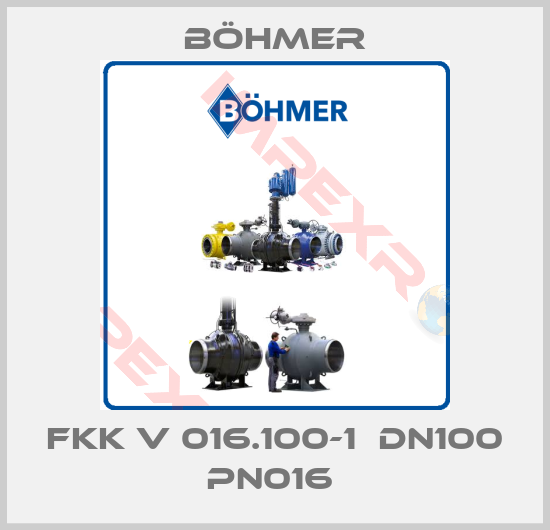 Böhmer-FKK V 016.100-1  DN100 PN016 