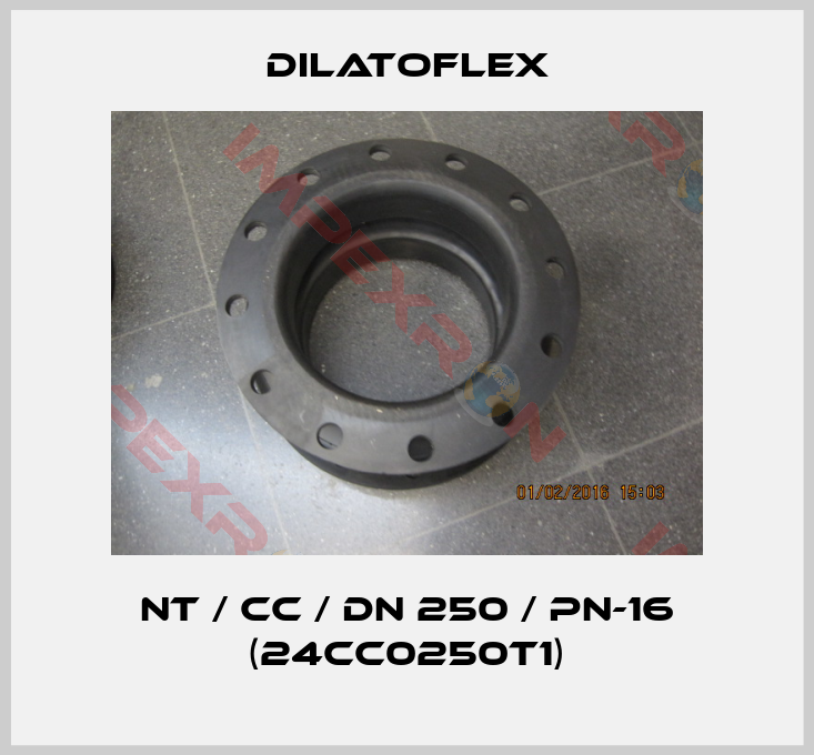 DILATOFLEX-NT / CC / DN 250 / PN-16 (24CC0250T1)