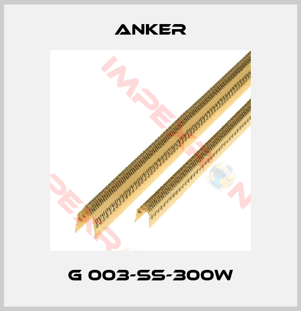 Anker-G 003-SS-300W