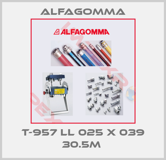 Alfagomma-T-957 LL 025 X 039 30.5M 