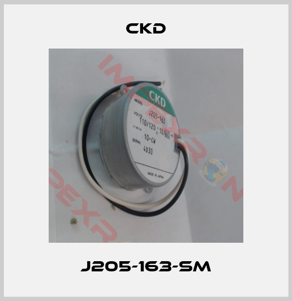Ckd-J205-163-SM
