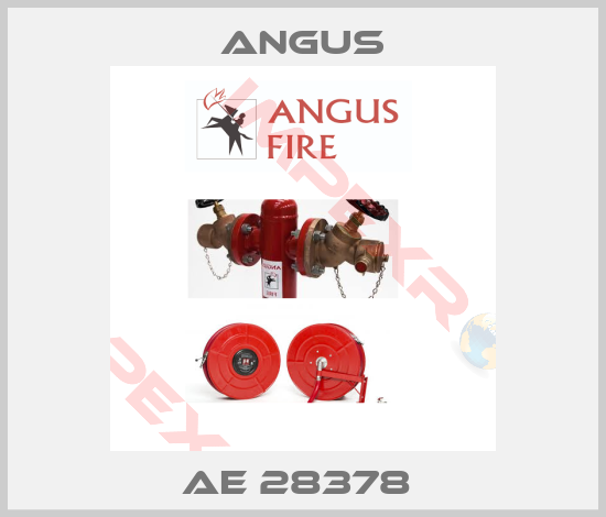 Angus-AE 28378 