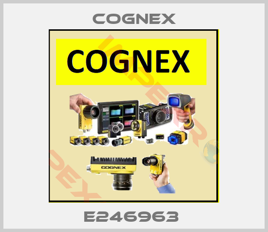 Cognex-E246963 