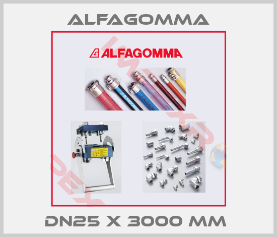 Alfagomma-DN25 x 3000 mm 