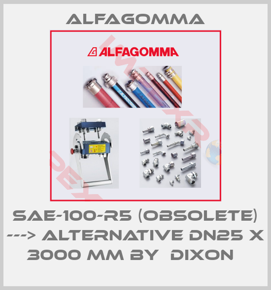 Alfagomma-SAE-100-R5 (obsolete) ---> alternative DN25 x 3000 mm by  Dixon  