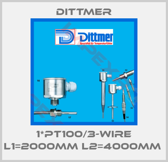 Dittmer-1*PT100/3-WIRE L1=2000mm L2=4000mm 