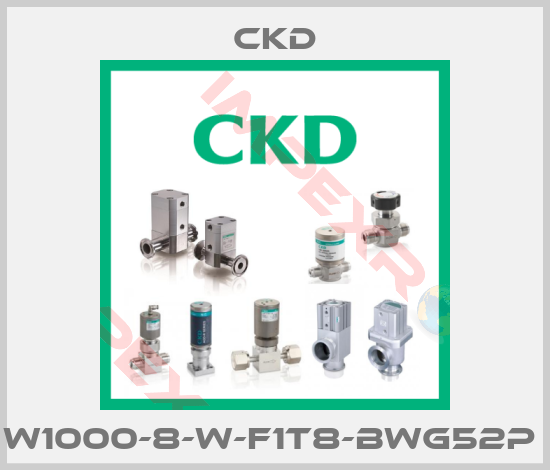 Ckd-W1000-8-W-F1T8-BWG52P 