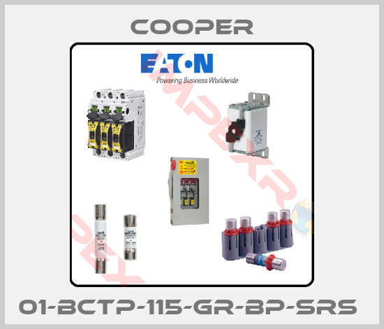 Cooper-01-BCTP-115-GR-BP-SRS 