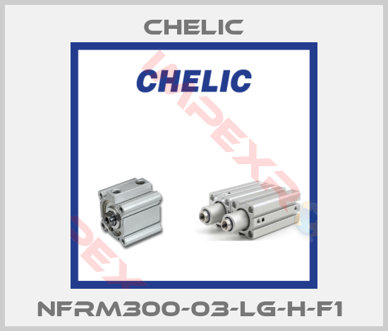 Chelic-NFRM300-03-LG-H-F1 