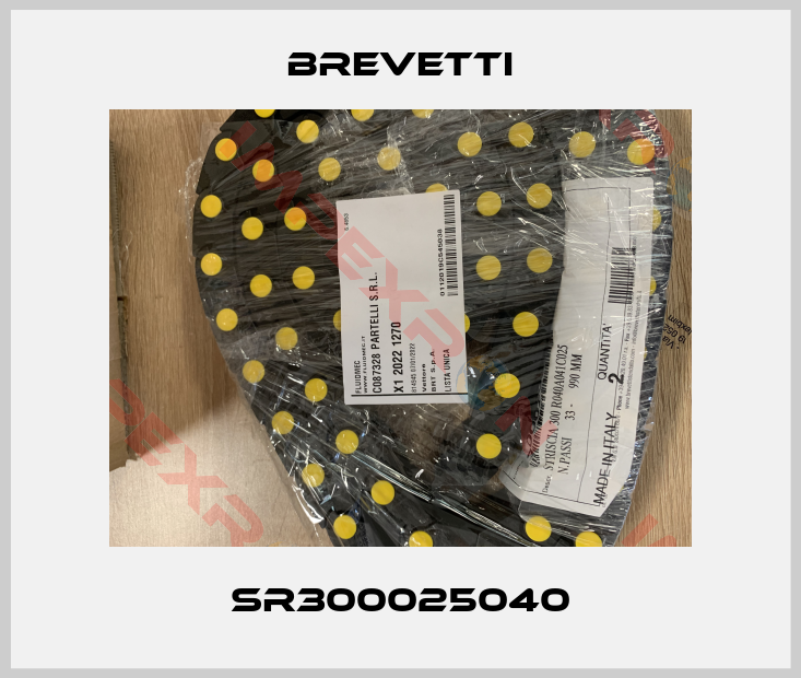 Brevetti-SR300025040