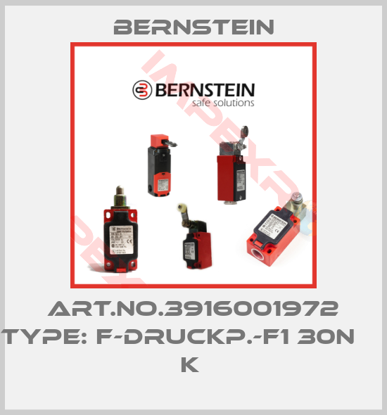 Bernstein-Art.No.3916001972 Type: F-DRUCKP.-F1 30N             K 
