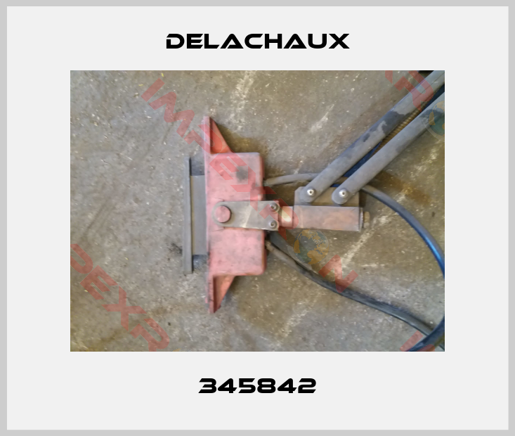 Delachaux-345842