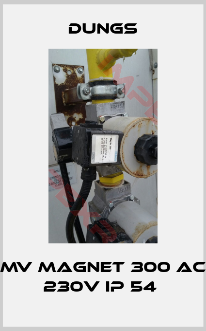Dungs-MV Magnet 300 AC 230V IP 54 